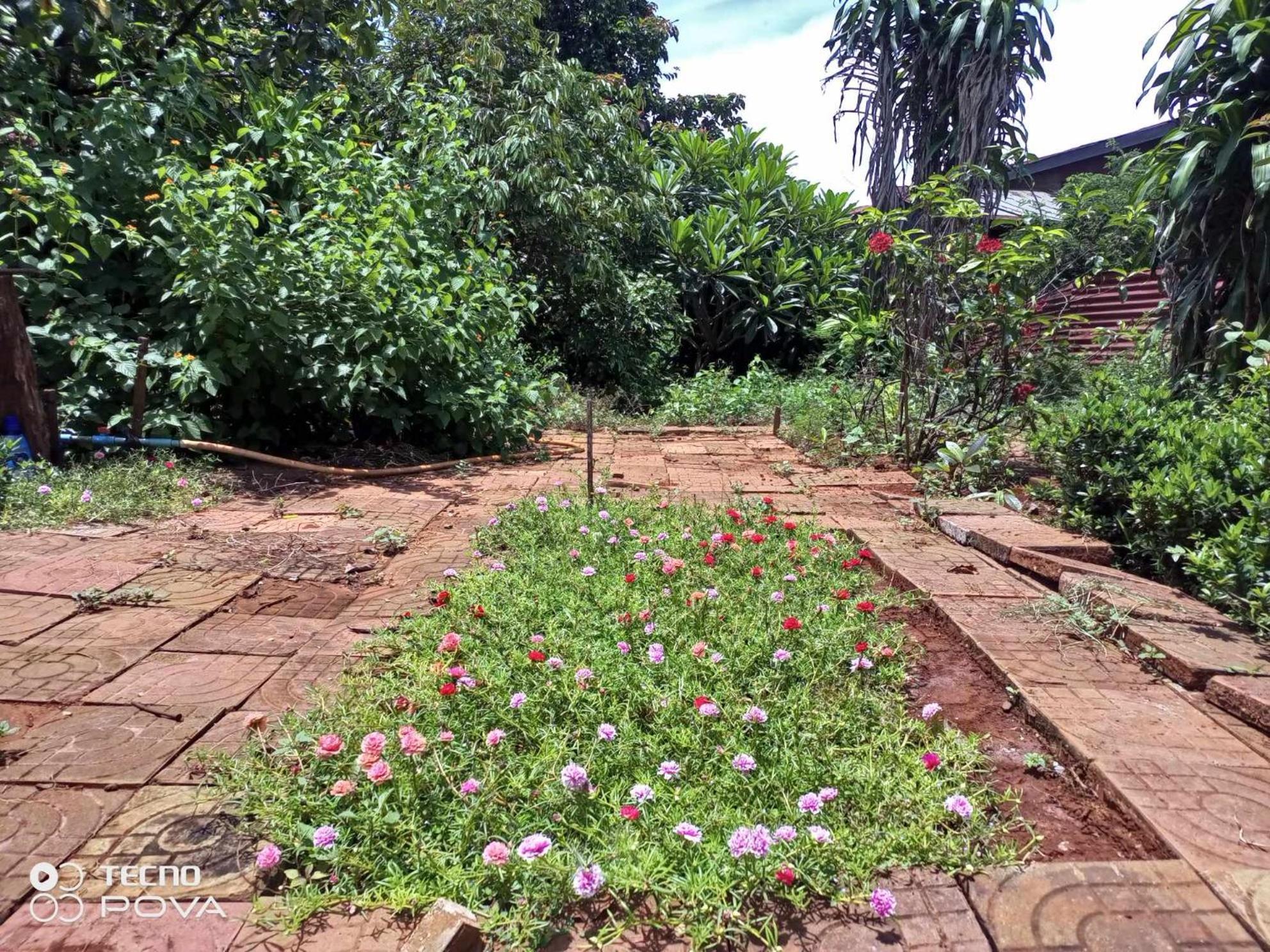 Familyhouse & Trekking Apartment Banlung Luaran gambar
