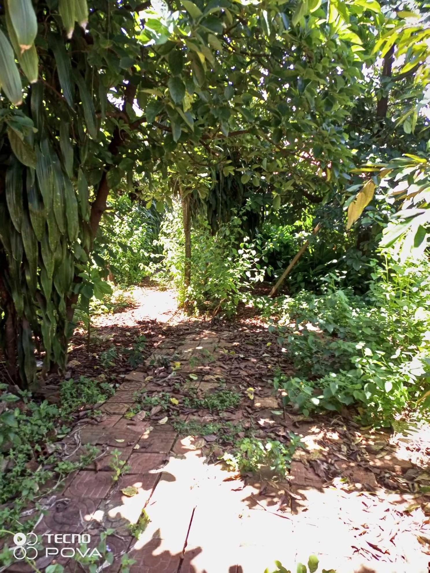 Familyhouse & Trekking Apartment Banlung Bilik gambar