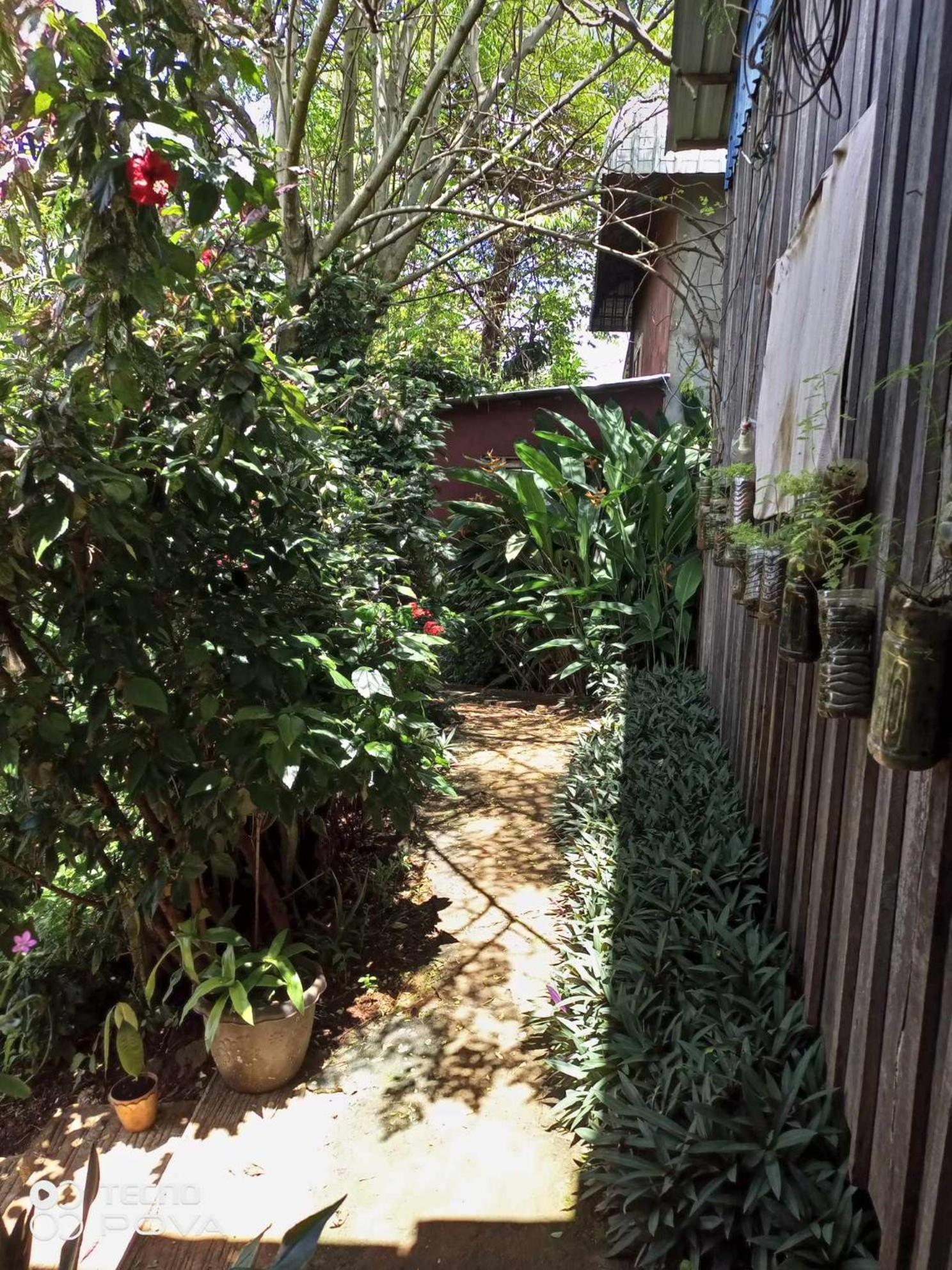 Familyhouse & Trekking Apartment Banlung Bilik gambar