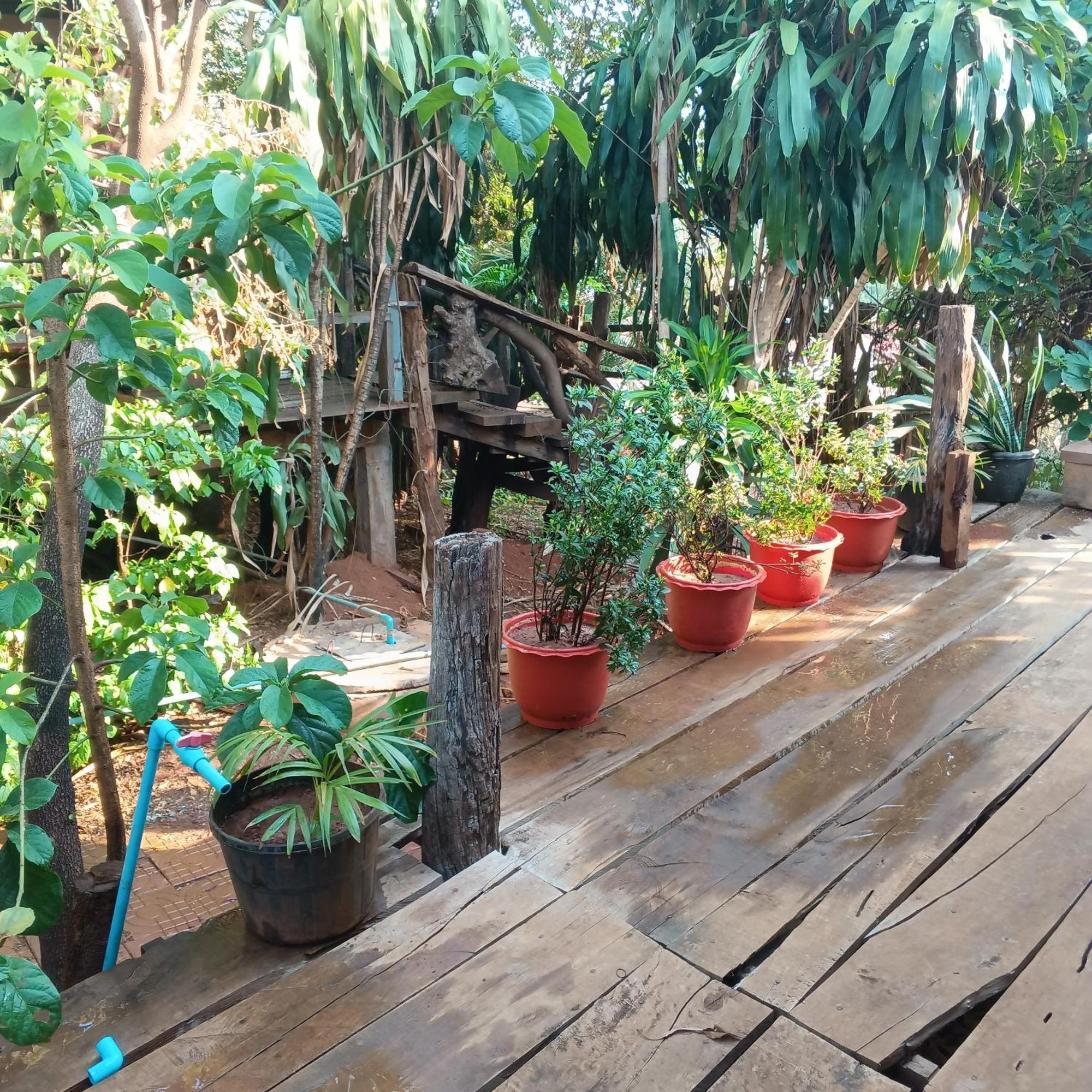 Familyhouse & Trekking Apartment Banlung Bilik gambar